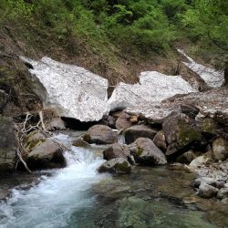 増水した渓でイワナ爆釣